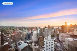 388 Bridge St, New York City, NY 11201 - Photo 18