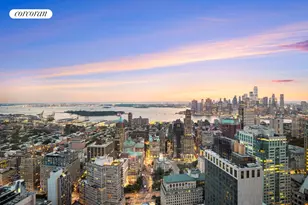 388 Bridge St, New York City, NY 11201 - Photo 20