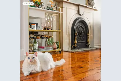 154A Hicks Street, Brooklyn, NY 11201 - Photo 30