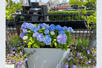 101 W 81st Street #701/702, New York City, NY 10024 - Photo 10