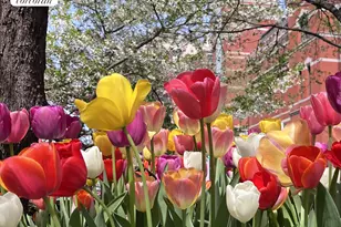 655 Park Ave, New York City, NY 10065 - Photo 10