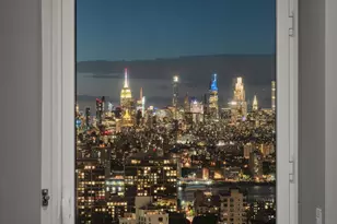 388 Bridge St, New York City, NY 11201 - Photo 4