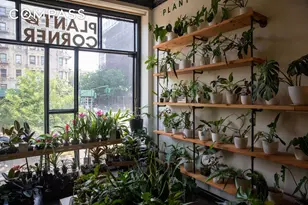 1787 Madison Ave, New York, NY 10035 - Photo 12