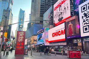 356 W 48th St, New York, NY 10036 - Photo 22