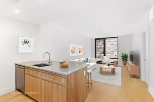 264 Webster Ave, New York City, NY 11230 - Photo 1