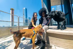 555 10th Ave, New York City, NY 10018 - Photo 12