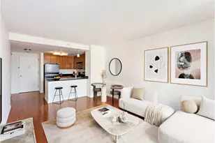 455 Main St, New York City, NY 10044 - Photo 2