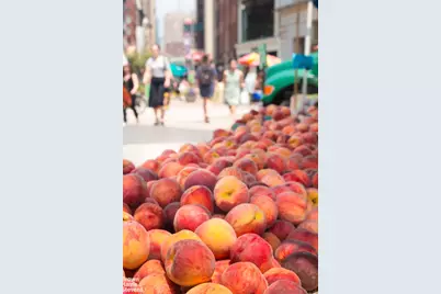 20 E 17th Street #7, New York City, NY 10003 - Photo 32
