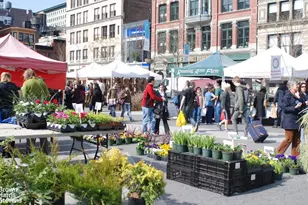 20 E 17th St, New York City, NY 10003 - Photo 16