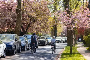 98-51 64th Ave, Rego Park, NY 11374 - Photo 10