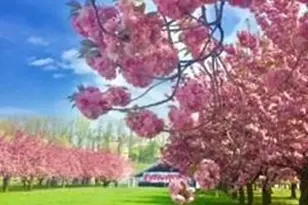 135 Eastern Pkwy, New York City, NY 11238 - Photo 18