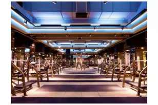 393 W 49th St, New York City, NY 10019 - Photo 8