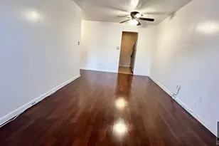 405 Halsey St, Brooklyn, NY 11233 - Photo 4