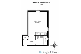 48 W 138th St, New York City, NY 10037 - Photo 8