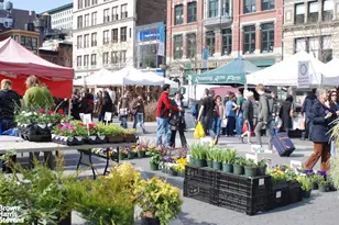 16 W 16th St, New York City, NY 10011 - Photo 12