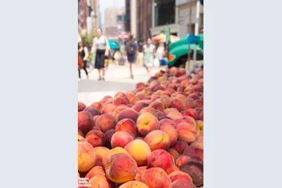 16 W 16th Street #5NS, New York City, NY 10011 - Photo 12