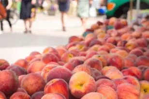 16 W 16th St, New York City, NY 10011 - Photo 12