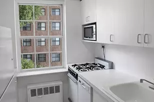 240 E 55th St, New York City, NY 10022 - Photo 4