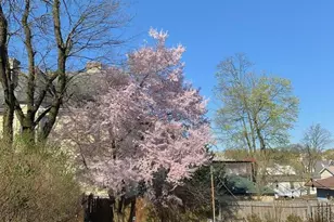 304 Westervelt Ave, New York, NY 10301 - Photo 16