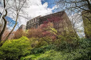 305 Riverside Dr, New York, NY 10025 - Photo 10