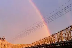 440 E 62nd St, New York City, NY 10065 - Photo 16