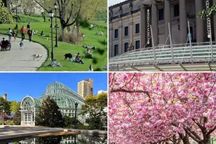 1214 Pacific St, New York City, NY 11216 - Photo 22