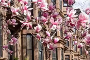 680 Carroll St, Brooklyn, NY 11215 - Photo 16