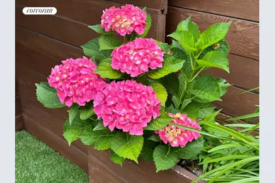 129 N 3rd Street #TH10, New York City, NY 11249 - Photo 14