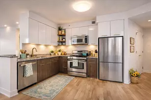 230 Ashland Pl, New York City, NY 11217 - Photo 4