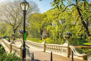 25 E 69th St, New York City, NY 10021 - Photo 22