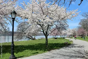 425 Riverside Dr, New York City, NY 10025 - Photo 14