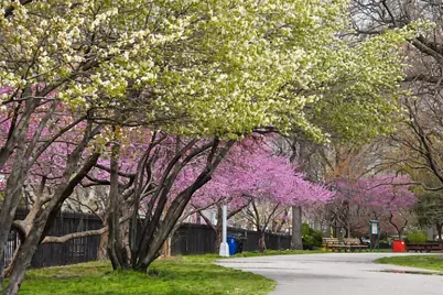 215 N 10th Street #4E, New York City, NY 11211 - Photo 8