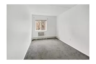 312 E 119th St, New York, NY 10035 - Photo 8