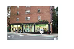 270 Jay St, New York City, NY 11201 - Photo 12