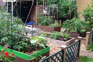 270 Jay St, New York City, NY 11201 - Photo 18