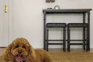 230 Park Pl, Brooklyn, NY 11238 - Photo 10