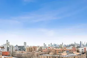 390 Lorimer St, New York City, NY 11206 - Photo 12