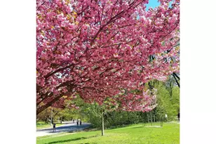 135 Prospect Park Southwest, New York City, NY 11218 - Photo 14