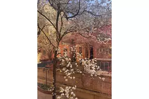 64 E 94th St, New York City, NY 10128 - Photo 8