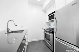 80 Dekalb Ave, New York City, NY 11201 - Photo 4