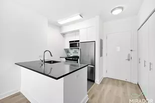 80 Dekalb Ave, New York City, NY 11201 - Photo 10