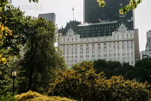 1 Central Park S, New York City, NY 10019 - Photo 32