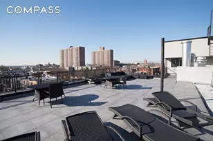 1325 Herkimer St, New York City, NY 11233 - Photo 16