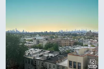 17 Somers Street #4B, New York City, NY 11233 - Photo 12