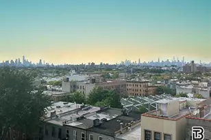 17 Somers St, New York City, NY 11233 - Photo 12