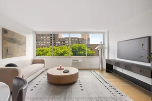 555 Main St, New York City, NY 10044 - Photo 2