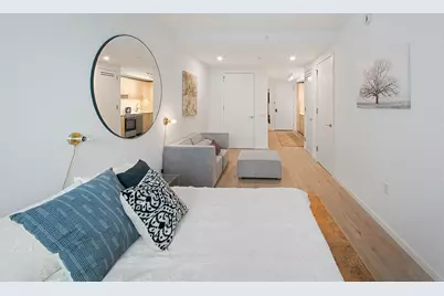 12 Halsey Street #528, New York City, NY 11216 - Photo 1