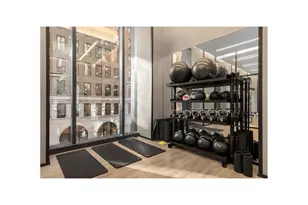 277 5th Ave, New York City, NY 10016 - Photo 24