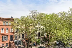 480 MacDonough St, New York City, NY 11233 - Photo 14