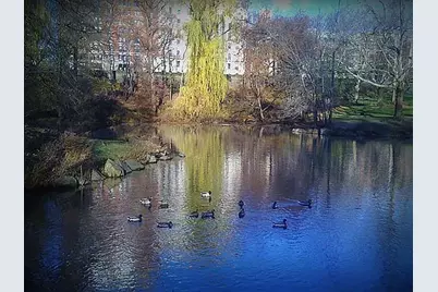 467 Central Park W #14-B, New York City, NY 10025 - Photo 16
